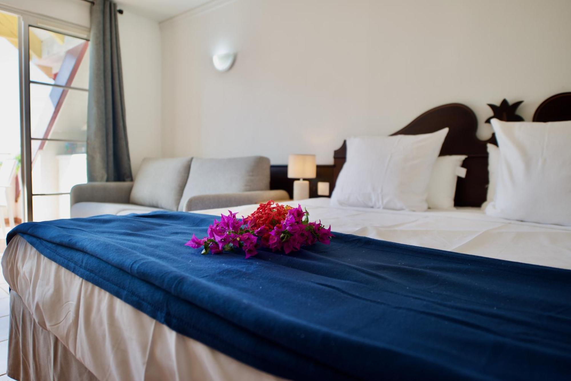 Studio Olia A P&V - Plages, Piscines Et Vue Mer! 圣安尼 外观 照片