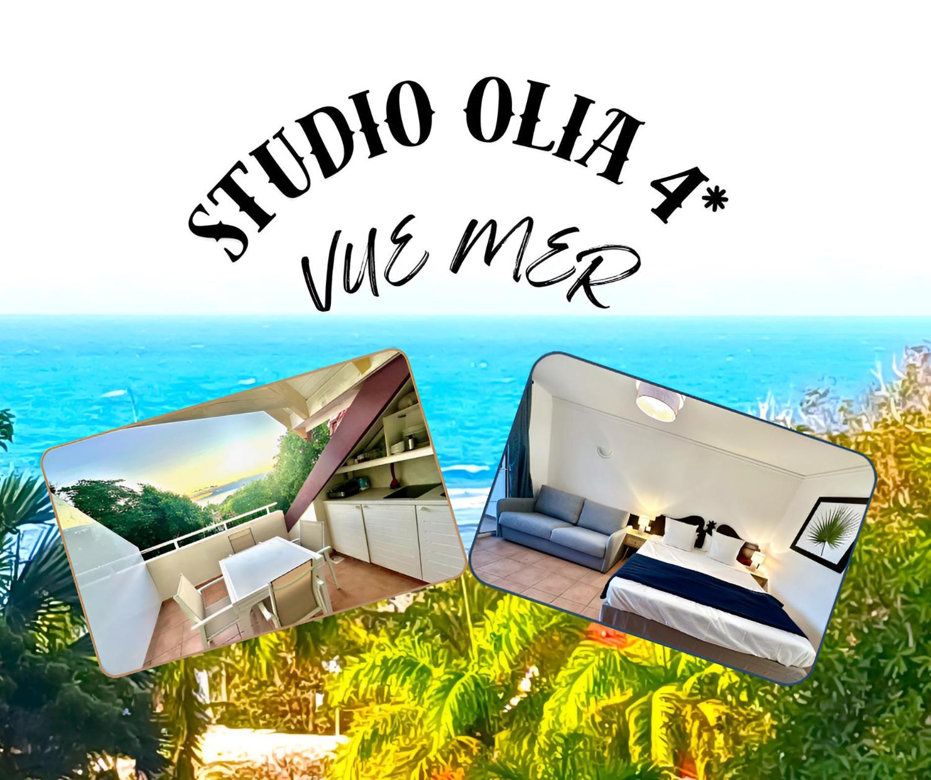 Studio Olia A P&V - Plages, Piscines Et Vue Mer! 圣安尼 客房 照片